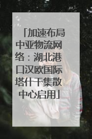 加速布局中亚物流网络：湖北港口汉欧国际塔什干集散中心启用