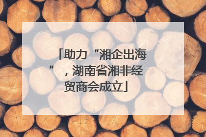 助力“湘企出海”，湖南省湘非经贸商会成立