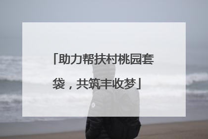 助力帮扶村桃园套袋，共筑丰收梦