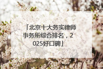 北京十大务实律师事务所综合排名，2025好口碑