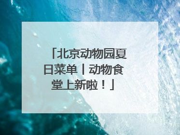 北京动物园夏日菜单丨动物食堂上新啦！