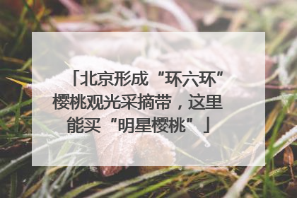 北京形成“环六环”樱桃观光采摘带，这里能买“明星樱桃”