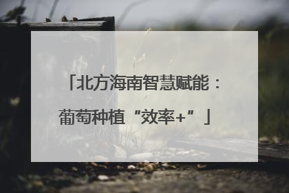 北方海南智慧赋能：葡萄种植“效率+”
