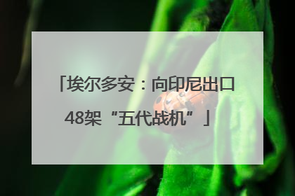 埃尔多安：向印尼出口48架“五代战机”