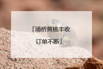 埇桥黄桃丰收 订单不断