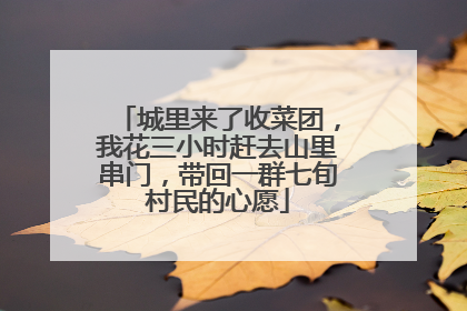 城里来了收菜团，我花三小时赶去山里串门，带回一群七旬村民的心愿
