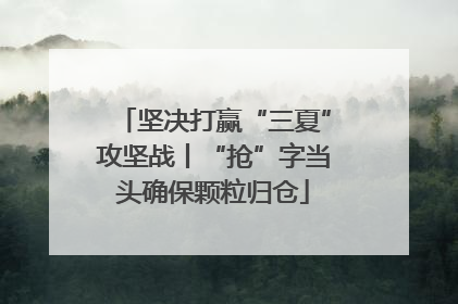 坚决打赢“三夏”攻坚战丨“抢”字当头确保颗粒归仓