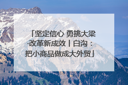 坚定信心 勇挑大梁·改革新成效丨白沟：把小商品做成大外贸
