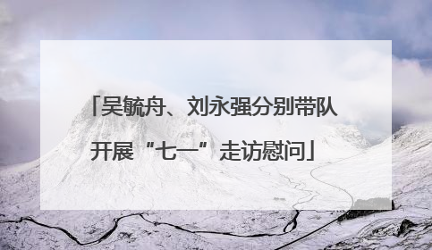 吴毓舟、刘永强分别带队开展“七一”走访慰问