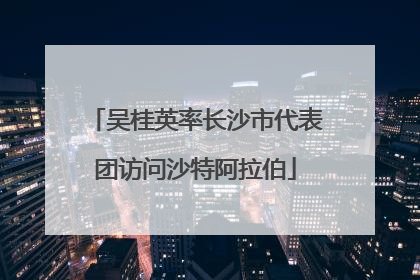 吴桂英率长沙市代表团访问沙特阿拉伯