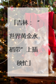 吉林：“世界黄金水稻带”上插秧忙