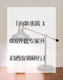 向新求质 10国外籍专家开启西安调研行