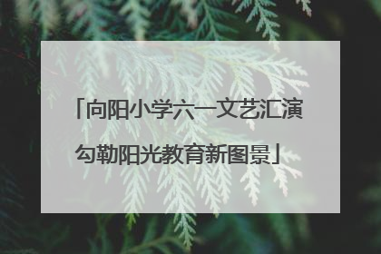 向阳小学六一文艺汇演勾勒阳光教育新图景