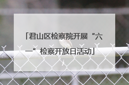 君山区检察院开展“六一”检察开放日活动