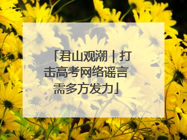 君山观潮｜打击高考网络谣言需多方发力