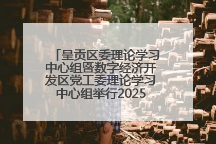 呈贡区委理论学习中心组暨数字经济开发区党工委理论学习中心组举行2025年第七次学习会议