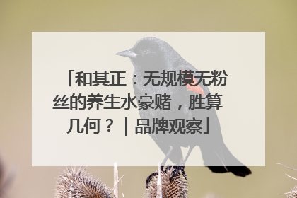 和其正：无规模无粉丝的养生水豪赌，胜算几何？｜品牌观察
