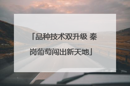 品种技术双升级 秦岗葡萄闯出新天地