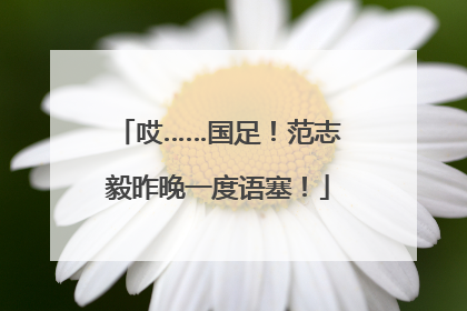 哎……国足！范志毅昨晚一度语塞！