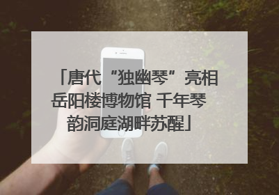唐代“独幽琴”亮相岳阳楼博物馆 千年琴韵洞庭湖畔苏醒