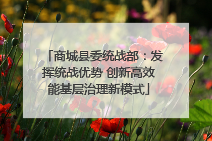 商城县委统战部：发挥统战优势 创新高效能基层治理新模式