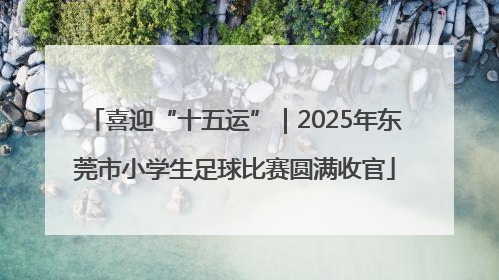 喜迎“十五运”｜2025年东莞市小学生足球比赛圆满收官