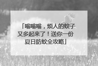 嗡嗡嗡，烦人的蚊子又多起来了！送你一份夏日防蚊全攻略