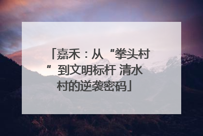 嘉禾：从“拳头村”到文明标杆 清水村的逆袭密码
