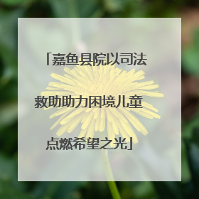 嘉鱼县院以司法救助助力困境儿童点燃希望之光