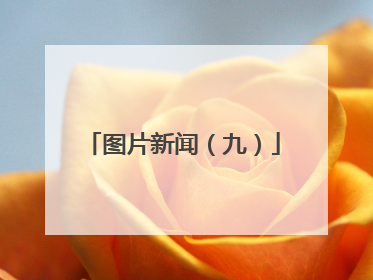 图片新闻（九）