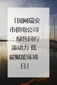 国网瑞安市供电公司：绿色同行添动力 低碳赋能环境日