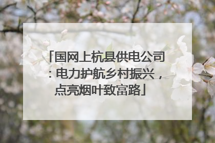国网上杭县供电公司：电力护航乡村振兴，点亮烟叶致富路