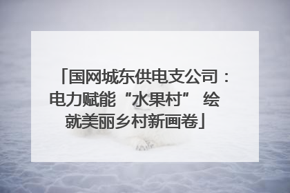 国网城东供电支公司：电力赋能“水果村” 绘就美丽乡村新画卷