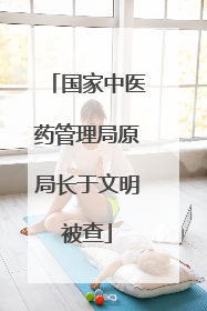 国家中医药管理局原局长于文明被查