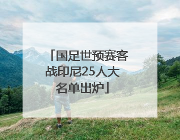 国足世预赛客战印尼25人大名单出炉