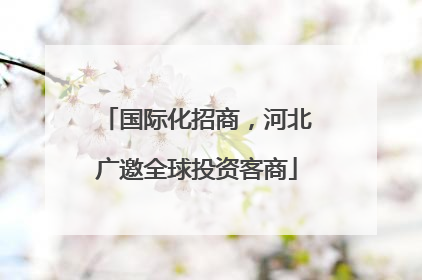 国际化招商，河北广邀全球投资客商