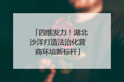 四维发力！湖北沙洋打造法治化营商环境新标杆