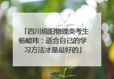 四川绵阳物理类考生杨峻玮：适合自己的学习方法才是最好的