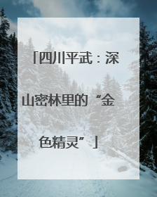 四川平武：深山密林里的“金色精灵”