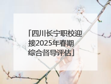 四川长宁职校迎接2025年春期综合督导评估