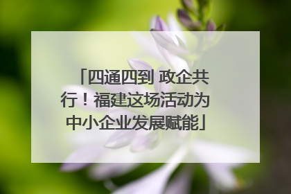四通四到 政企共行！福建这场活动为中小企业发展赋能