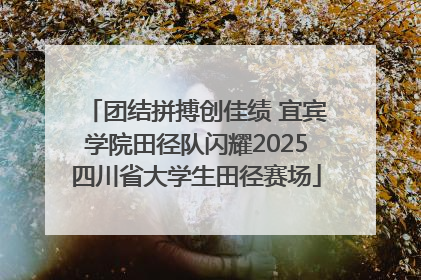 团结拼搏创佳绩 宜宾学院田径队闪耀2025四川省大学生田径赛场
