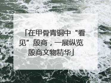 在甲骨青铜中“看见”殷商，一展纵览殷商文物精华