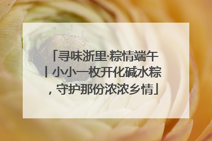 寻味浙里·粽情端午丨小小一枚开化碱水粽，守护那份浓浓乡情