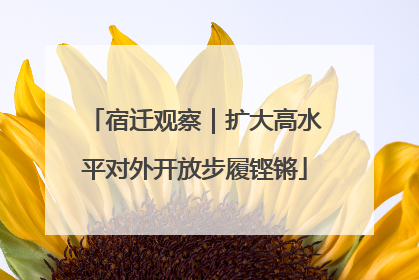 宿迁观察｜扩大高水平对外开放步履铿锵
