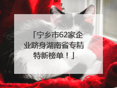 宁乡市62家企业跻身湖南省专精特新榜单！