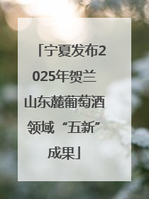 宁夏发布2025年贺兰山东麓葡萄酒领域“五新”成果