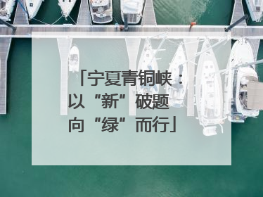 宁夏青铜峡：以“新”破题 向“绿”而行