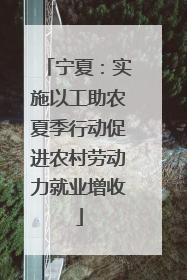 宁夏：实施以工助农夏季行动促进农村劳动力就业增收