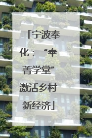 宁波奉化：“奉菁学堂”激活乡村新经济
